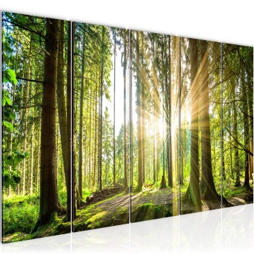 Canvas 5 luik schilderij natuur bos 5 220 x 80 cm 503855
