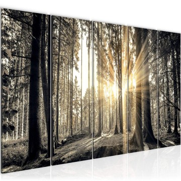 Canvas 5 luik schilderij natuur bos 6 220 x 80 cm 503855