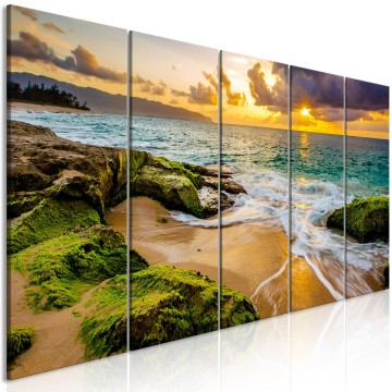 Canvas 5 luik schilderij natuur strand 0001 240 x 90 cm c b 0462 b m