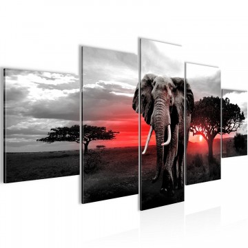 Canvas 5 luik schilderij olifant 3 200 x 100 cm 0012516