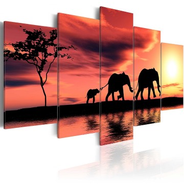 Canvas 5 luik schilderij olifant afrika 1 240 x 112 cm 030213  15 
