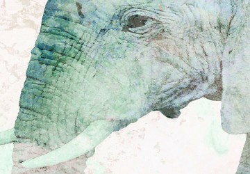 Canvas 5 luik schilderij olifant special 2 225 x 90 cm 0268