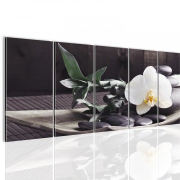 Canvas 5 luik schilderij ontspanning orchidee4 220 x 80 cm 502312