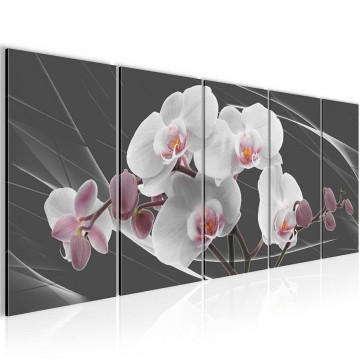 Canvas 5 luik schilderij orchidee zwart4 220 x 80 cm 202955