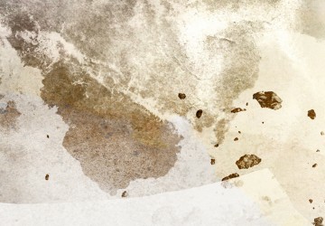 Canvas 5 luik schilderij paard special 3 225 x 90 cm 0260