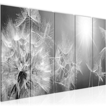 Canvas 5 luik schilderij paardenbloem 18 220 x 80 cm 211155