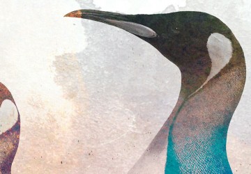 Canvas 5 luik schilderij pinguin special 2 225 x 90 cm 0265