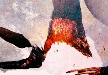 Canvas 5 luik schilderij pinguin special 3 225 x 90 cm 0265