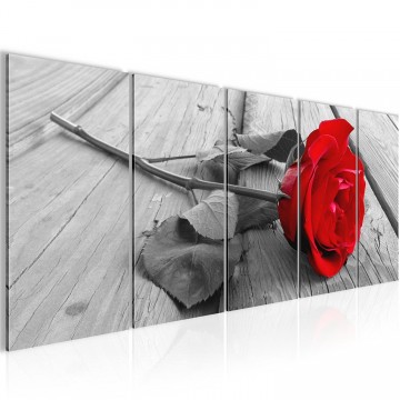 Canvas 5 luik schilderij roos hout2 220 x 80 cm 204412