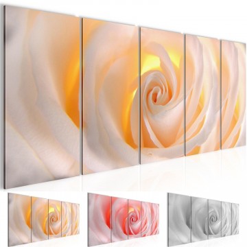 Canvas 5 luik schilderij roos1 220 x 80 cm 202712