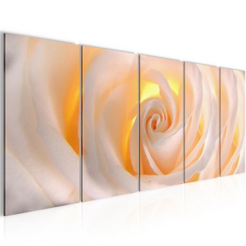 Canvas 5 luik schilderij roos2 220 x 80 cm 202712 0