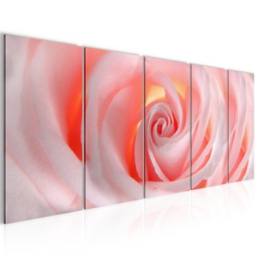 Canvas 5 luik schilderij roos3 220 x 80 cm 202712 0