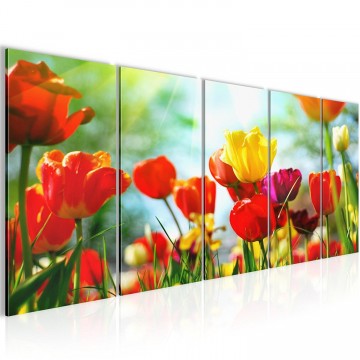 Canvas 5 luik schilderij tulpen gekleurd 220 x 80 cm 201955