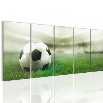 Canvas 5 luik schilderij voetbal3 220 x 80 cm 402412