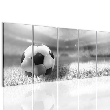Canvas 5 luik schilderij voetbal4 220 x 80 cm 402412 0