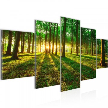 Canvas 5 luik schilderij zonnig bos 2 200 x 100 cm 60575