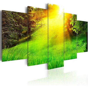 Canvas 5 luik schilderij zonnig landschap 1 240 x 112 cm c a 0032 b m
