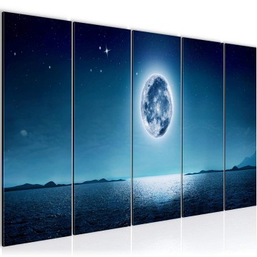 Canvas 5 luik schilderij zz wereldbol 2 220 x 80 cm 009612