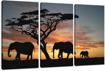 Canvas schilderij 3 luik afrika olifant 160 x 90 cm 1066