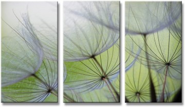 Canvas schilderij 3 luik bloemen 160 x 90 cm 1167