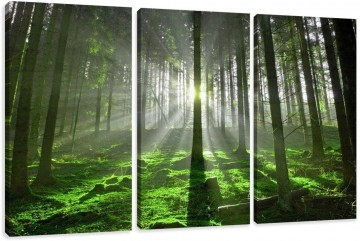 Canvas schilderij 3 luik groen bos 160 x 90 cm 1130