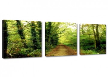 Canvas schilderij 3 luik herfstbos 150 x 50 cm 4223