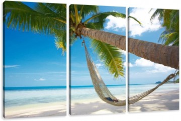 Canvas schilderij 3 luik palmboom 160 x 90 cm 1039