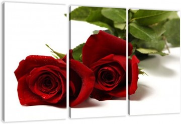 Canvas schilderij 3 luik rode rozen 160 x 90 cm 1095