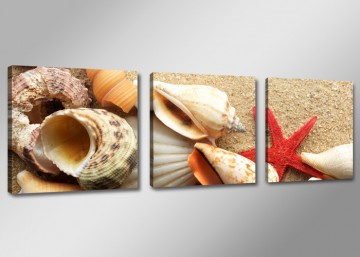 Schelpen 150 x 50 cm