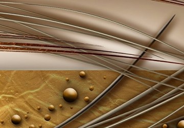 Canvas schilderij 4 luik abstract bruin 3 200 x 90 cm 020101