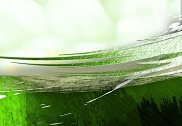 Canvas schilderij 4 luik abstract green 2 200 x 90 cm 020101 99 