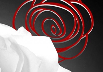 Canvas schilderij 4 luik abstract roos 2 200 x 90 cm 020110 153