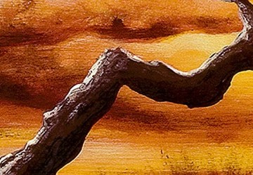 Canvas schilderij 4 luik afrika boom 2 200 x 90 cm 5716