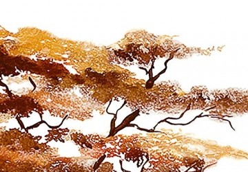 Canvas schilderij 4 luik afrika boom 3 200 x 90 cm 5716