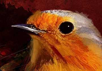 Canvas schilderij 4 luik funky vogel 2 200 x 90 cm 020116 2 