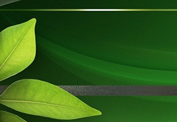 Canvas schilderij 4 luik groen blad 3 200 x 90 cm 020101 36