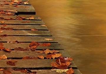 Canvas schilderij 4 luik herfstbos 3 200 x 90 cm 030212  33