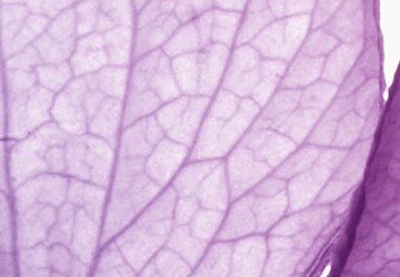 Canvas schilderij 4 luik love is 3 200 x 90 cm 051489