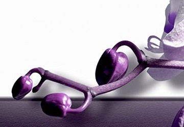 Canvas schilderij 4 luik orchidee paars 2 200 x 90 cm 051483