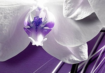 Canvas schilderij 4 luik orchidee paars 3 200 x 90 cm 051483