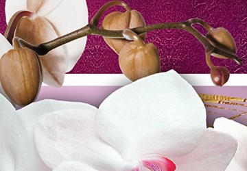 Canvas schilderij 4 luik orchidee roze 3 200 x 90 cm 051448