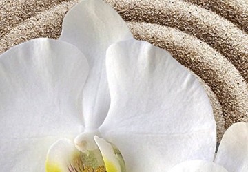 Canvas schilderij 4 luik orchidee zand 2 200 x 90 cm 051396