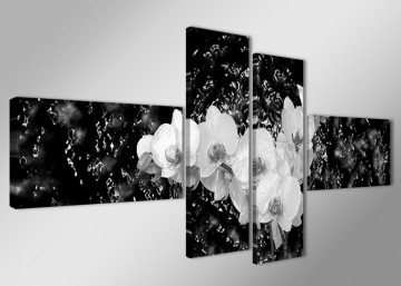 Orchidee Zwart 160 x 70 cm
