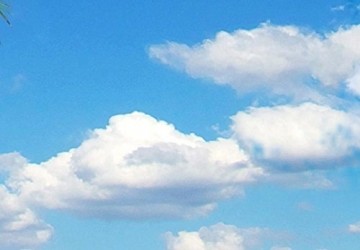 Canvas schilderij 4 luik palmbomen 3 200 x 90 cm 030112  47 os