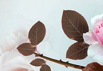 Canvas schilderij 4 luik rozen 2 200 x 90 cm 051400 