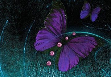 Canvas schilderij 4 luik vlinders 3 200 x 90 cm 020115  3