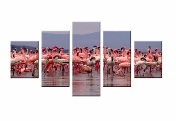 Flamingo's 160 x 80 cm