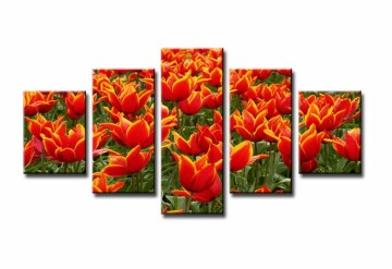 Tulpen Veld 160 x 80 cm
