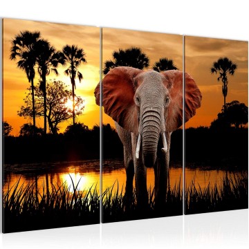 Canvas schilderij afrika olifant 1 130 x 80 cm 001931