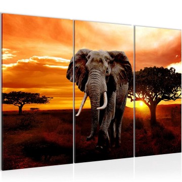 Canvas schilderij afrika olifant 10 130 x 80 cm 001231
